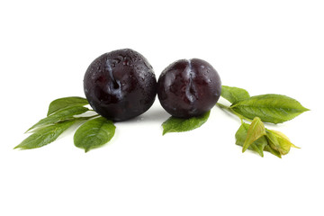 Black plums and leaves