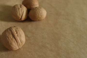 wallnuts in shells on the mono colour background