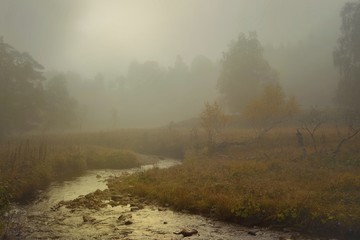 Fog in mountains