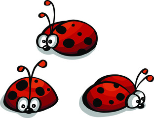 set of red ladybug isolated on white. vector illustration