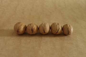 wallnuts in shells on the mono colour background
