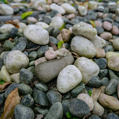 Fototapeta na wymiar The clouse up of nature gravel stones background in forest hill.