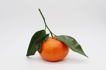 tangerine with leaves on white background