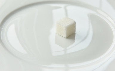 one lump of sugar on a white plate