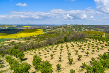 Weekend trip on the almond trail in the Czech Republic.
