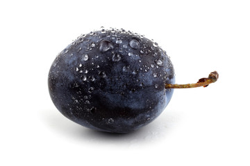 Black plum