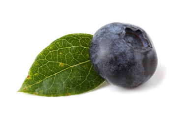 Blueberry and leaf