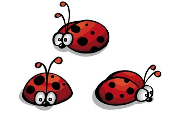 Plakat set of red ladybug isolated on white. illustration
