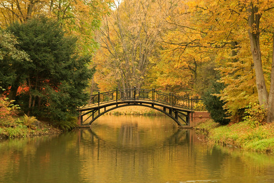 Autumn in Park near Pszczyna Castle or Pless Castle in Pszczyna town in Poland