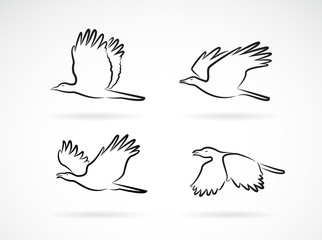 Vector group of crow flying on white background. Birds. Animals. Easy editable layered vectors illustration.