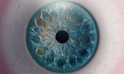Keuken spatwand met foto Human eye macro shot of pupil blue iris texture © willyam