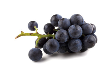 Black wine grape