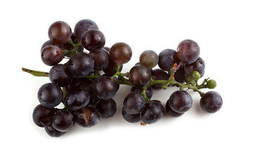 Black wine grape