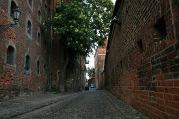 Fototapeta premium Old Town of Torun, Poland