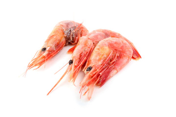 Shrimps