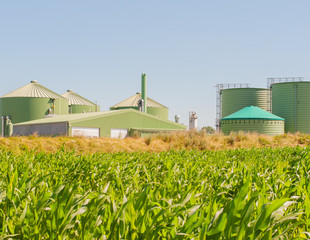 Biogasanlage zur Stromerzeugung und Energiegewinnung 