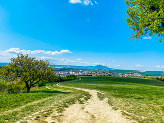 Weekend trip on the almond trail in the Czech Republic.