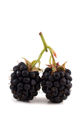 Blackberries