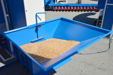 A close-up on grain grinding machine, corn powder crusher, electric mill for home and commercial use with corn, grain, wheat in blue large hopper. © bildlove