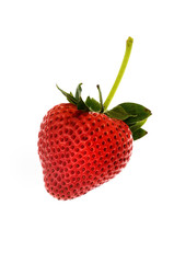 red strawberry on white background
