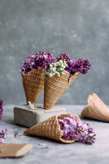 Lilac flowers in an ice cream cone on a gray background.