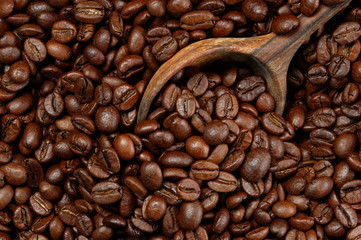 Fototapeta premium Coffee beans background with a wooden spoon. Selective focus