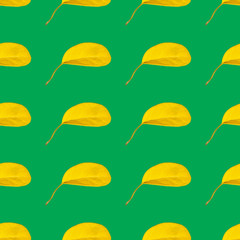 Colorful pattern with yellow leaves on the green background