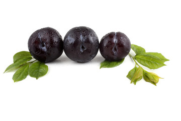 Black plums and leaves