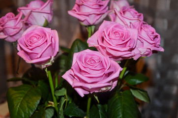 bouquet of pink roses