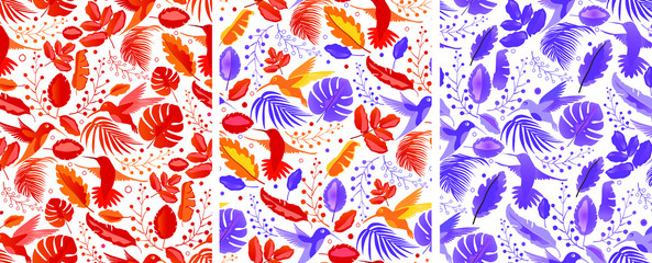 A collection of 3 patterns of vector illustrations of bright colorful exotic hummingbirds of birds, and leaves of plants on a white background. Suitable for fabric, wallpaper