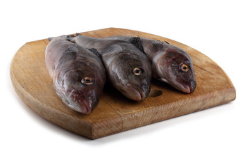 Sea bass