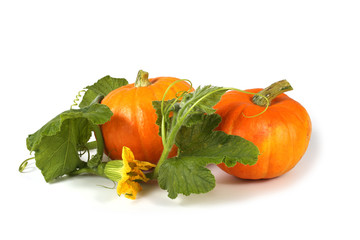 Pumpkins and leaves