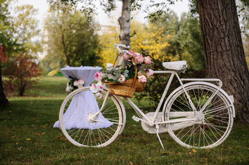Fototapeta premium White old vintage bicycle decorated