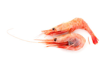 Shrimps with caviar