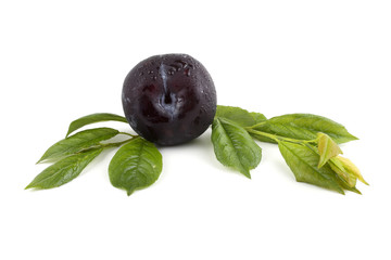 Black plum and leaves