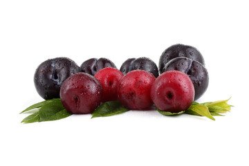 Plums and leaves