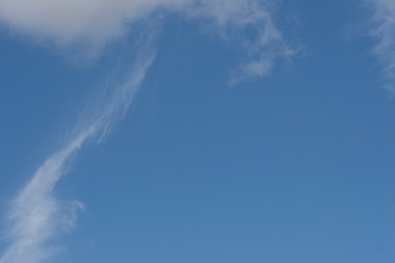 Naklejka na ściany i meble cirrus clouds in blue sky