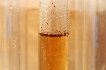 Weakly concentrated aqueous bromine solution in test tube. - obrazy, fototapety, plakaty