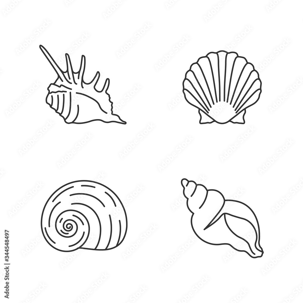 Aufkleber exotic sea shells pixel perfect linear icons set. customizable thin line contour symbols. sea scallo
