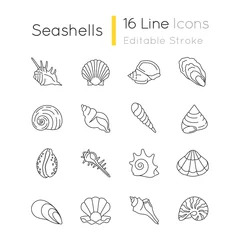 Deurstickers Seashells pixel perfect linear icons set. Different mollusk shells customizable thin line contour symbols. Various sea shells collection isolated vector outline illustrations. Editable stroke © bsd studio
