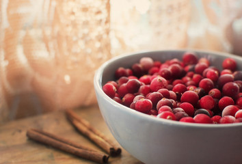 bowl of lingonberries in delicate colors with cinnamon sticks close-up
