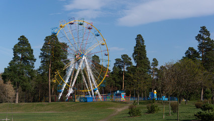 ferris wheel in the park