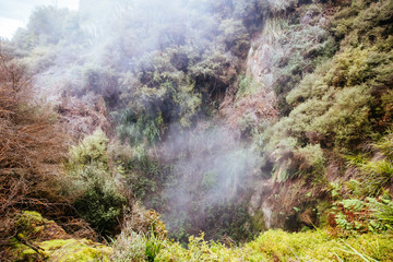 Wairakei Natural Thermal Valley in New Zealand