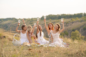 The company of female friends having fun and enjoys a summer green hlls picnic and raise glasses...