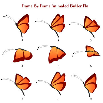 Butter fly Vector Illustration, Frame by Frame Animated Butterfly editable source file