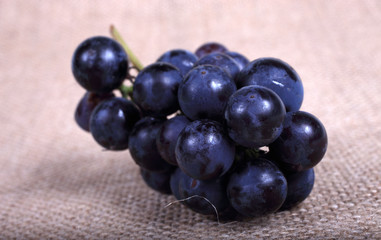 Black wine grape on bagging