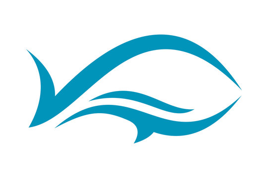 Orca fish logo icon template
