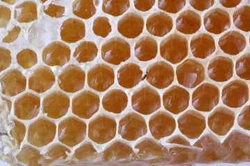 Honeycomb