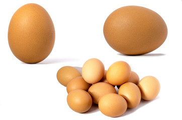 Picture of a chicken egg Against a white background