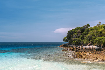 Fototapeta premium Seascape. Coastline with Trees and the sea. Beautiful background